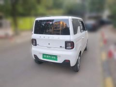 Geely Panda Mini 200km Endurance Edition - ფოტო 6