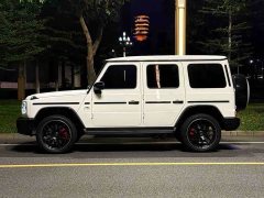 Mercedes-Benz Mercedes-AMG G 63 - ფოტო 2