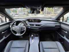 Lexus UX New Energy 2020 300e Pure Joy Edition - ფოტო 6