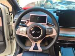 BYD Seagull Glory Edition 305km Vitality Version - ფოტო 11