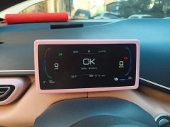 BYD Seagull Glory Edition 305km Vitality Version - ფოტო 12