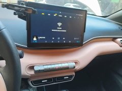 BYD Seagull Glory Edition 305km Vitality Version - ფოტო 14