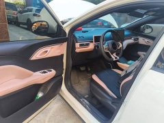 BYD Seagull Glory Edition 305km Vitality Version - ფოტო 17