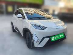 BYD Seagull Glory Edition 305km Vitality Version - ფოტო 3