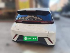 BYD Seagull Glory Edition 305km Vitality Version - ფოტო 5