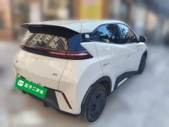 BYD Seagull Glory Edition 305km Vitality Version - ფოტო 6