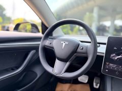 Tesla Model 3 Facelift Standard Range RWD Upgrade 3D1 - ფოტო 16
