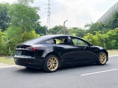 Tesla Model 3 Facelift Standard Range RWD Upgrade 3D1 - ფოტო 5