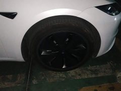 Tesla Model 3 2023 Rear-Wheel Drive - ფოტო 6