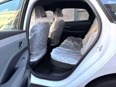 BYD Qin PLUS DM-i 128KM Entry-Level - ფოტო 7
