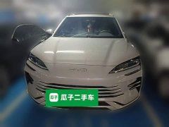 BYD Song Plus New Energy 2025 DM-i 160KM Flagship - ფოტო 2