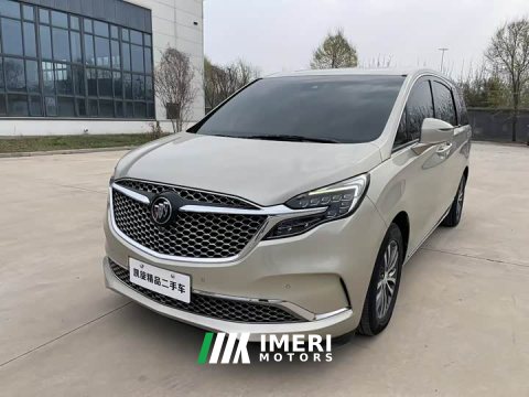 2021 Buick GL8 ES Land Respect 653T Respect Enjoyment Edition - ავტომობილი ჩინეთიდან