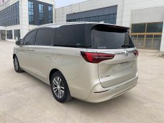 Buick GL8 ES Land Respect 653T Respect Enjoyment Edition - ფოტო 6
