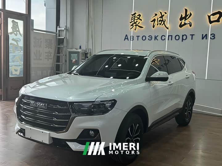 Haval H6 2021 National Trend Edition 1.5T Automatic Urban Version - ავტომობილი ჩინეთიდან