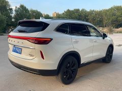 Haval H6 2021 Third Generation 2.0T Automatic Two-Wheel Drive Max - ფოტო 4
