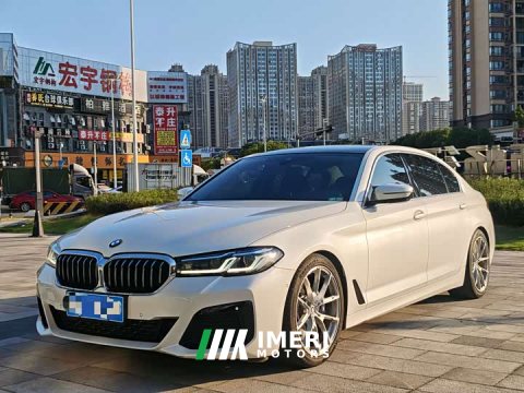 2021 BMW 5 Series 530Li Luxury Edition Premium Package - ავტომობილი ჩინეთიდან