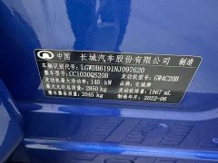 Chery Cannon 2021 2.0T Passenger Global Edition Automatic Gasoline 4WD Comfort Standard Bed GW4C20B - ფოტო 17