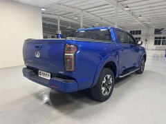 Chery Cannon 2021 2.0T Passenger Global Edition Automatic Gasoline 4WD Comfort Standard Bed GW4C20B - ფოტო 4