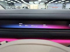NIO ES8 Six-Seat Executive Signature Edition - ფოტო 16