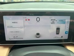 Geely ICON 1.5TD Qingyuan Limited Edition - ფოტო 12