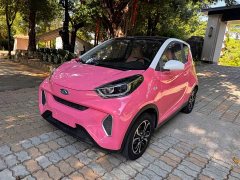 Chery Ant 200k Ant Fans Edition Oxygen Edition Lithium iron phosphate 301km - ფოტო 1