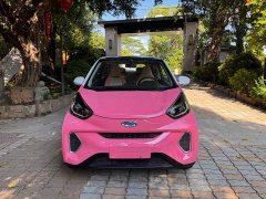 Chery Ant 200k Ant Fans Edition Oxygen Edition Lithium iron phosphate 301km - ფოტო 2