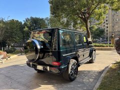 Mercedes-Benz G-Class G 450 d - ფოტო 17