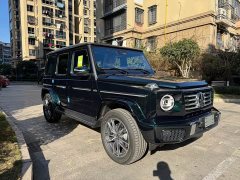 Mercedes-Benz G-Class G 450 d - ფოტო 18