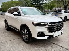 Haval H6 National Trend Edition 1.5T Automatic Champion Version - ფოტო 3