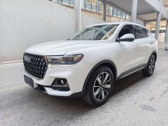 Haval H6 National Trend Edition 1.5T Automatic Champion Version - ფოტო 1