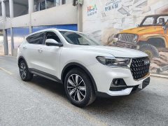 Haval H6 National Trend Edition 1.5T Automatic Champion Version - ფოტო 3
