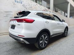 Haval H6 National Trend Edition 1.5T Automatic Champion Version - ფოტო 4