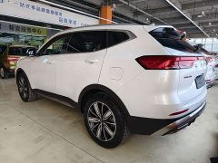 Haval H6 National Trend Edition 1.5T Automatic Champion Version - ფოტო 6