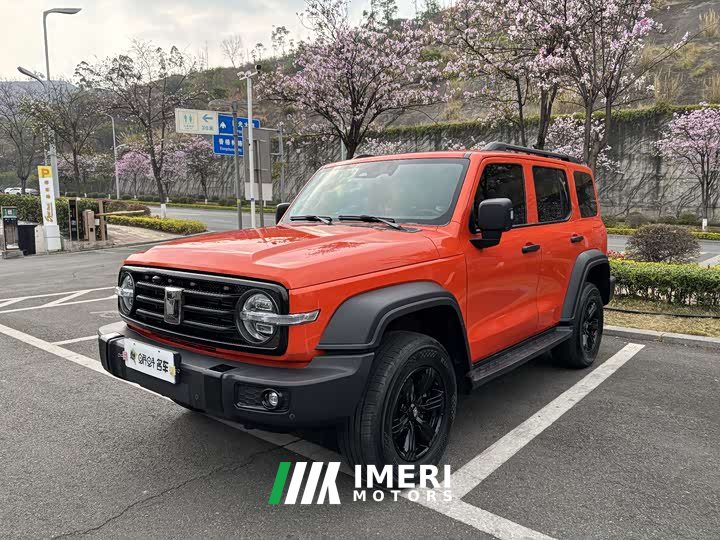 Tank 300 2023 Off-Road Edition 2.0T Conqueror - ავტომობილი ჩინეთიდან