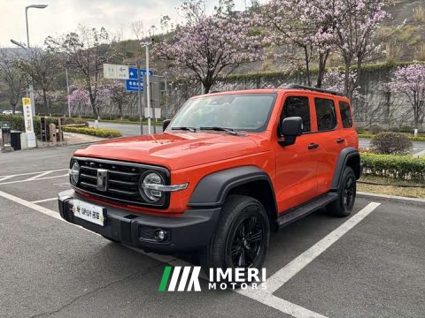 2022 Tank 300 2023 Off-Road Edition 2.0T Conqueror - ავტომობილი ჩინეთიდან