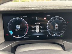 Tank 300 2023 Off-Road Edition 2.0T Conqueror - ფოტო 8