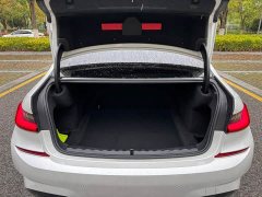 BMW 3 Series Facelift 320Li M Sport Package - ფოტო 16