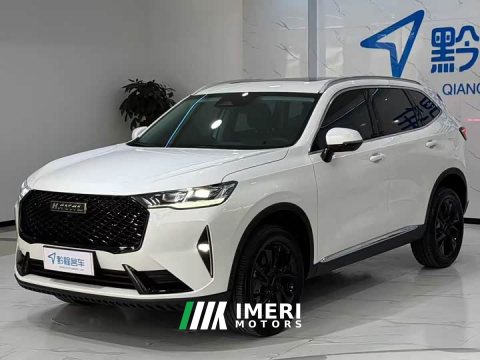 2023 Haval H6 2021 Third Generation 2.0T Automatic Two-Wheel Drive Max - ავტომობილი ჩინეთიდან