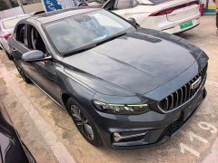 Geely Xingrui 2.0T Diesel Luxury - ფოტო 3