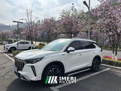 2024 GAC Aion GS4 PLUS 390T Automatic Nebula Edition