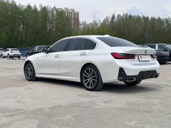 BMW 3 Series 320Li M Sport Package - ფოტო 6