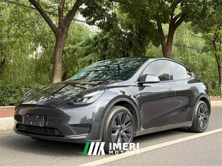Tesla Model Y Rear-Wheel Drive