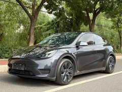 Tesla Model Y Rear-Wheel Drive - ფოტო 1