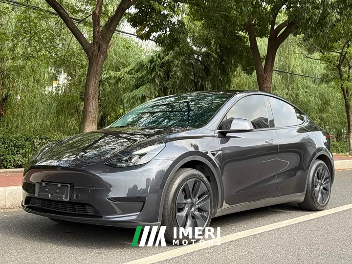 Tesla Model Y Rear-Wheel Drive