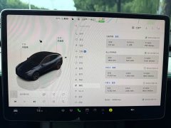 Tesla Model Y Rear-Wheel Drive - ფოტო 16