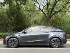 Tesla Model Y Rear-Wheel Drive - ფოტო 2