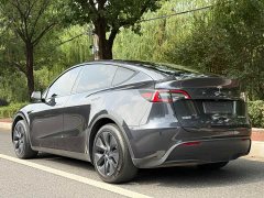 Tesla Model Y Rear-Wheel Drive - ფოტო 3