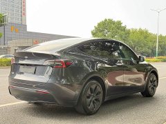 Tesla Model Y Rear-Wheel Drive - ფოტო 5