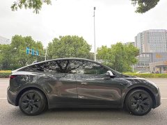 Tesla Model Y Rear-Wheel Drive - ფოტო 6