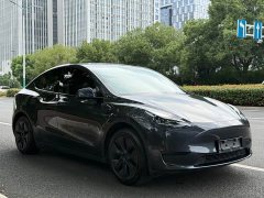 Tesla Model Y Rear-Wheel Drive - ფოტო 7